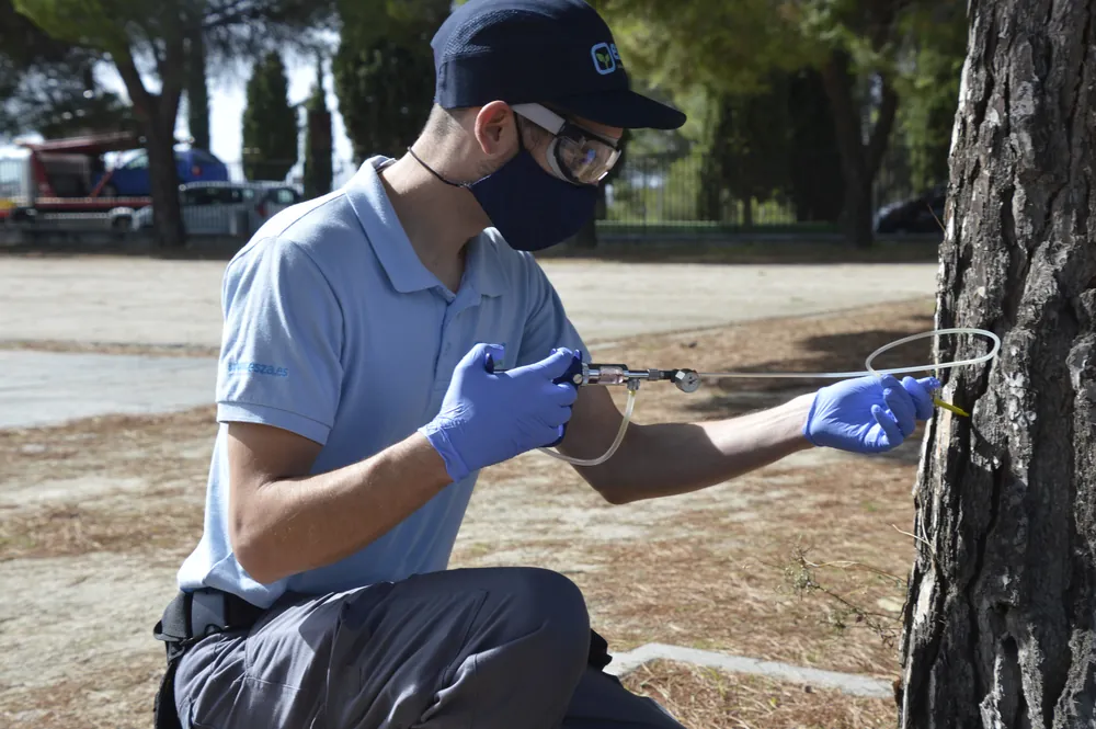Tree treatment by endotherapy