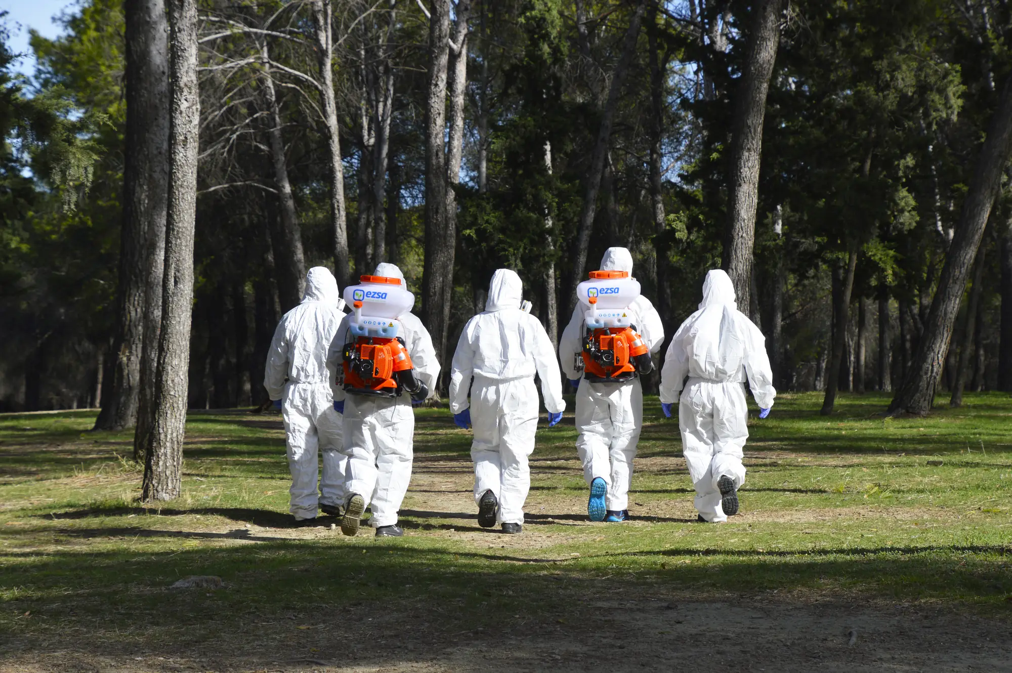 Environmental health technicians in protective suits walking through a forest