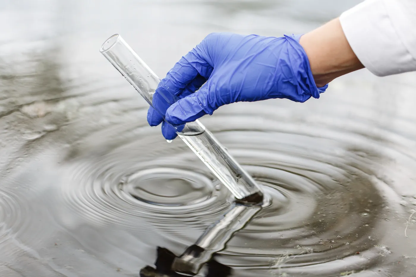 Specialist taking a water sample in a test tube